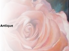 Antique〜アンティーク〜 本八幡店