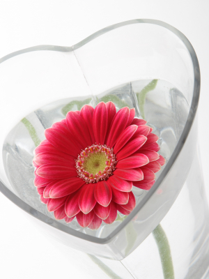 リラクゼーションサロンVita 柳